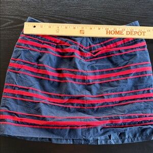 Striped Navy blue and Red Women's Skirt
Loft brand